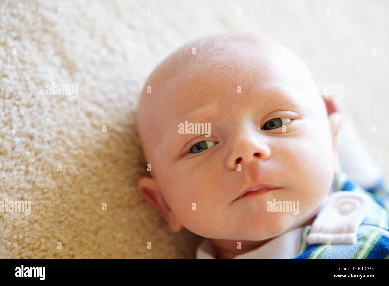 Bebe De 7 Semaine Portrait Photo Stock Alamy