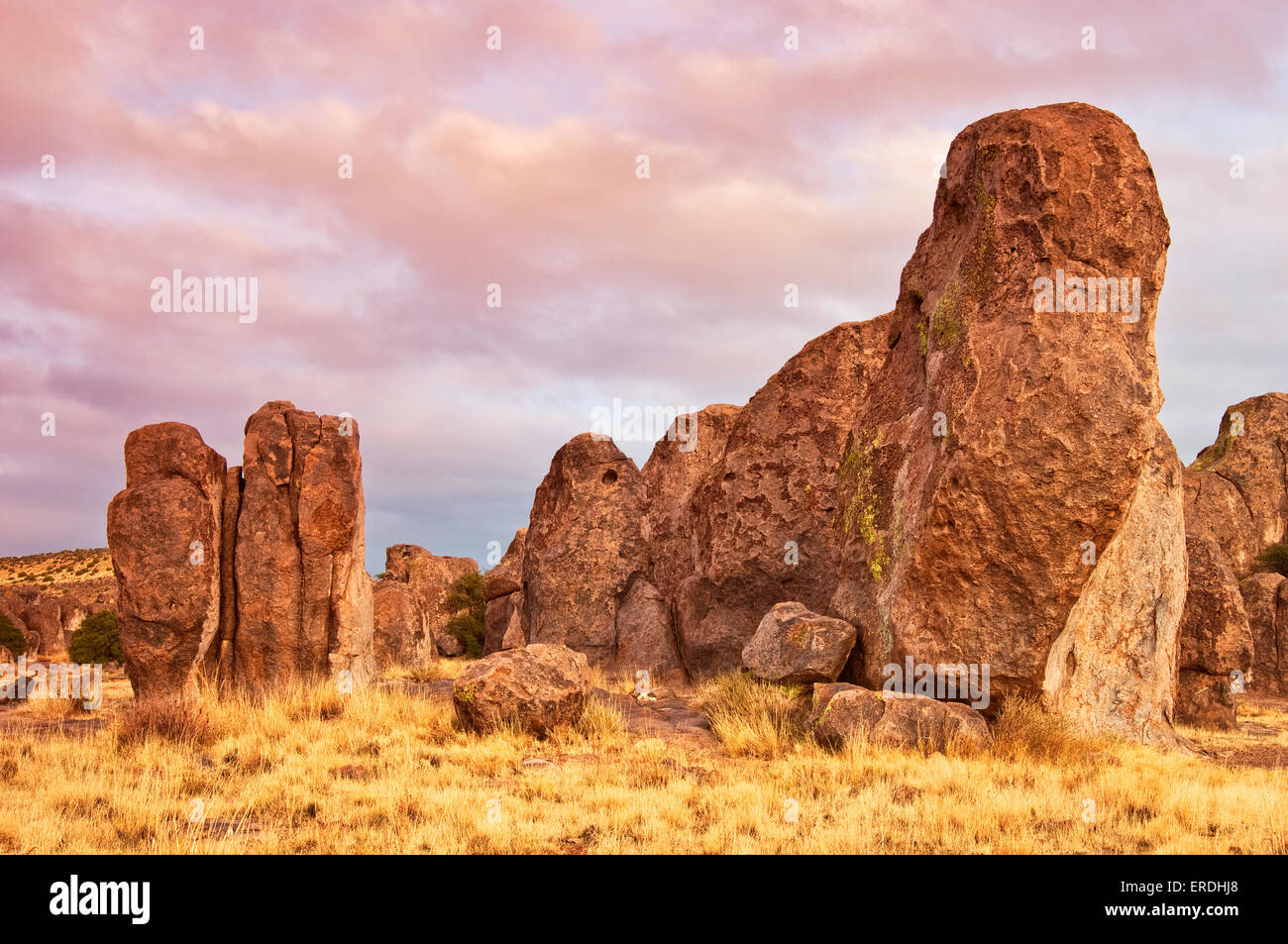 Formations de roche volcanique au City of Rocks State Park, Valley, Désert de Chihuahuan Mimbres, New Mexico, USA Banque D'Images