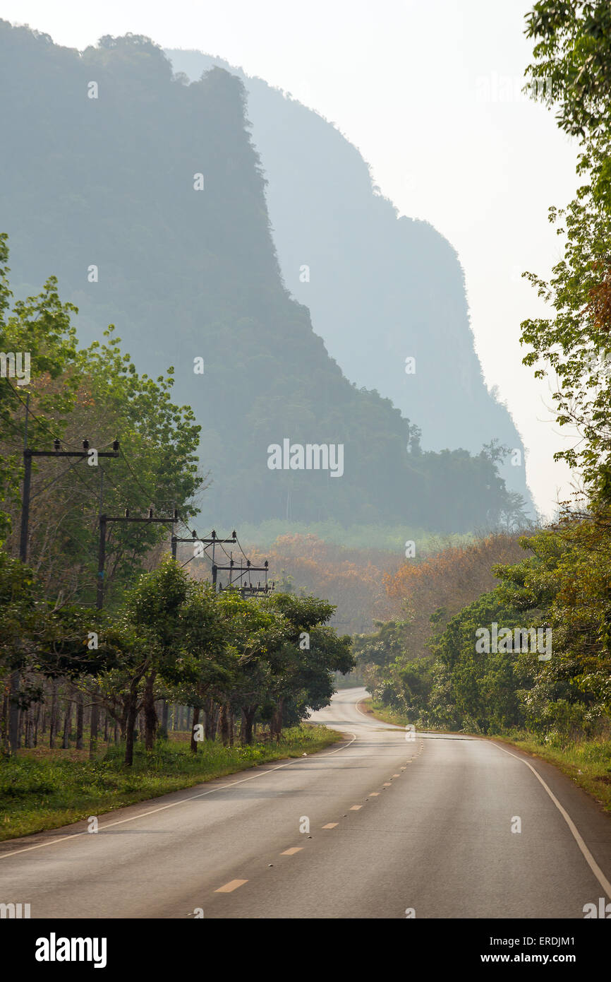 Route de campagne paysage matin Banque D'Images