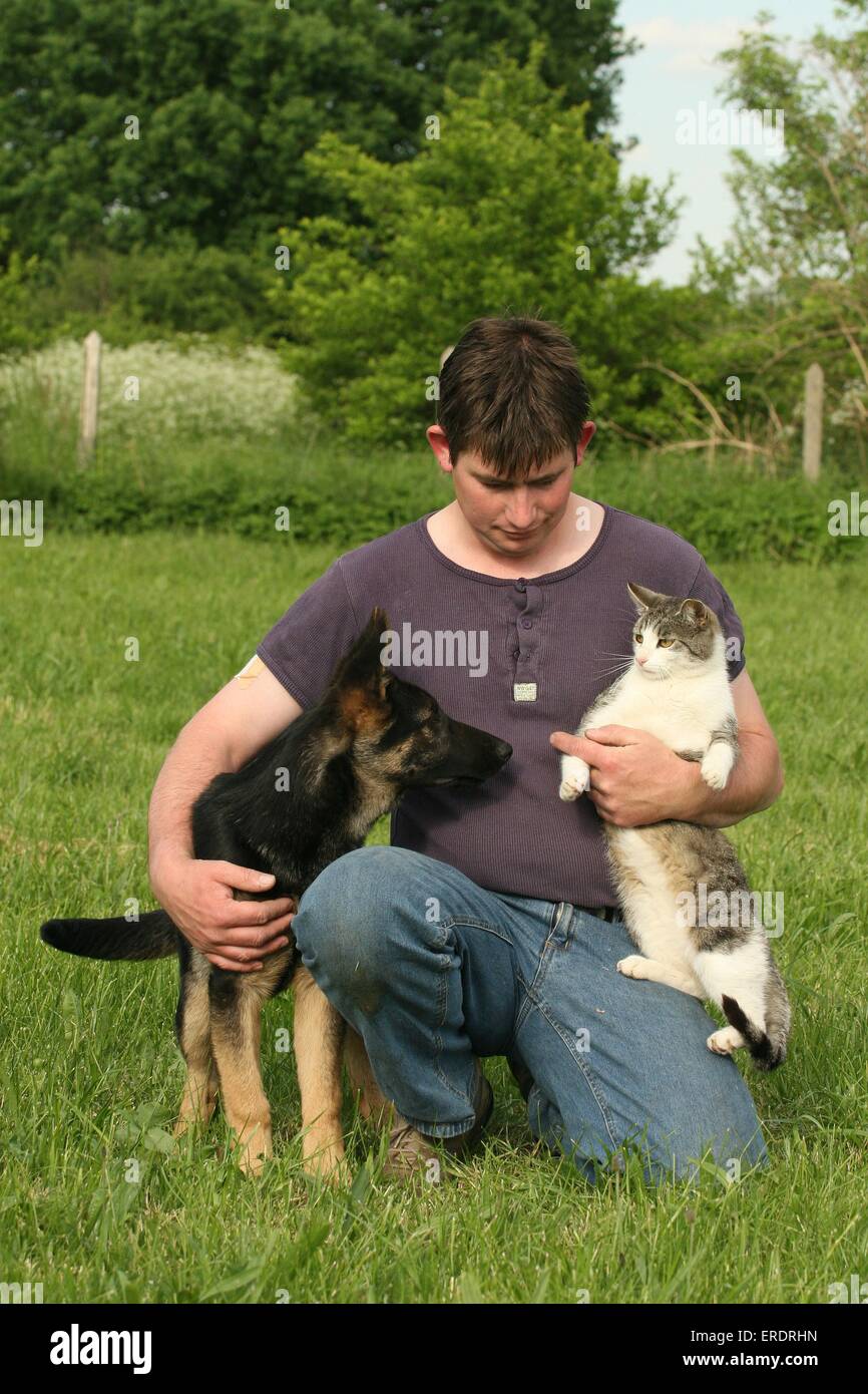 Homme avec chien et chat Banque D'Images