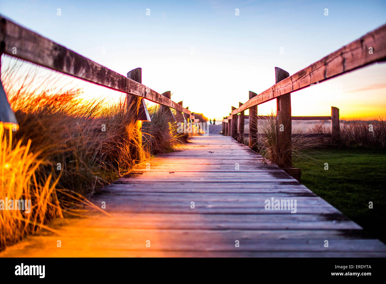 Promenade en bois à travers les hautes herbes Banque D'Images