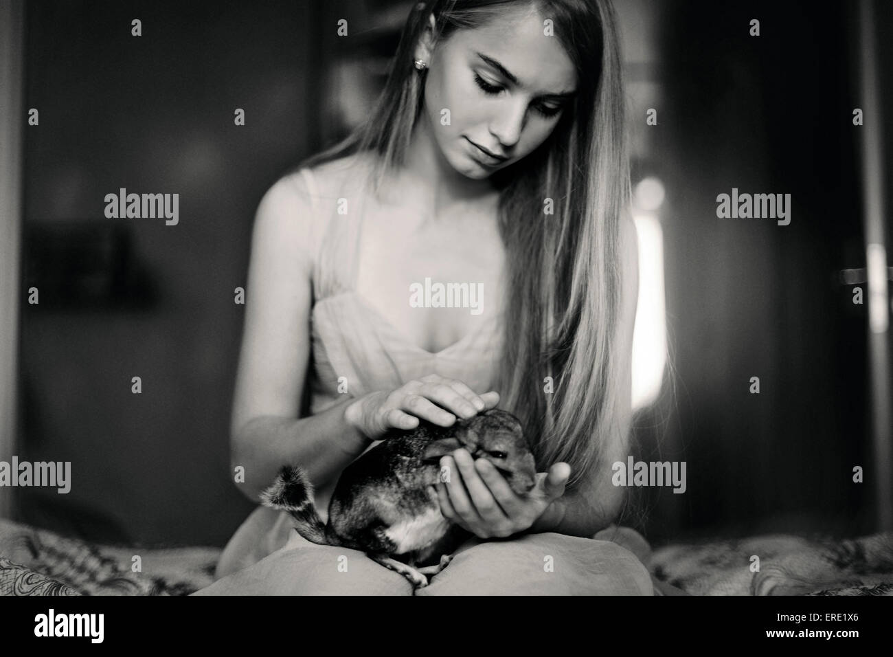 Caucasian girl holding pet chinchilla on bed Banque D'Images