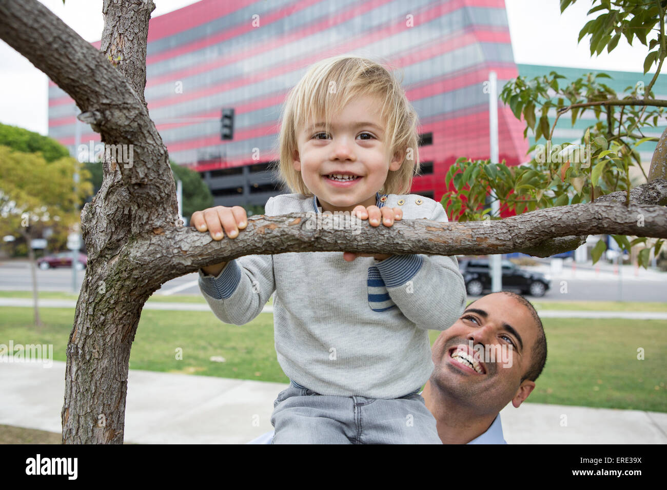 Hispanic father and son playing on tree in park Banque D'Images