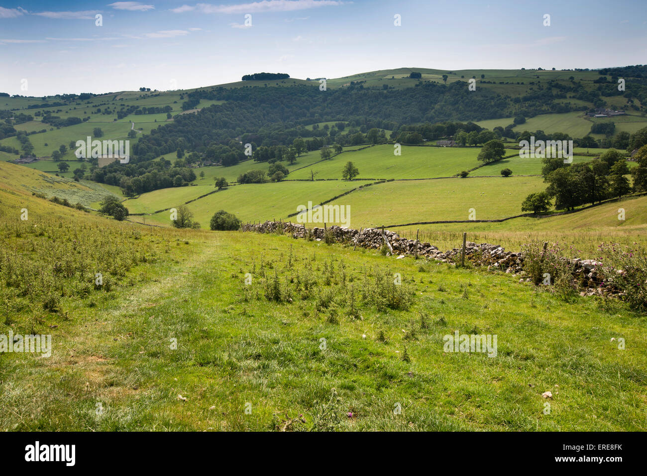 Royaume-uni, Angleterre, Staffordshire, Ilam, vue vers le bas Bunster Hill en village et parc d'Ilam et Hall Banque D'Images