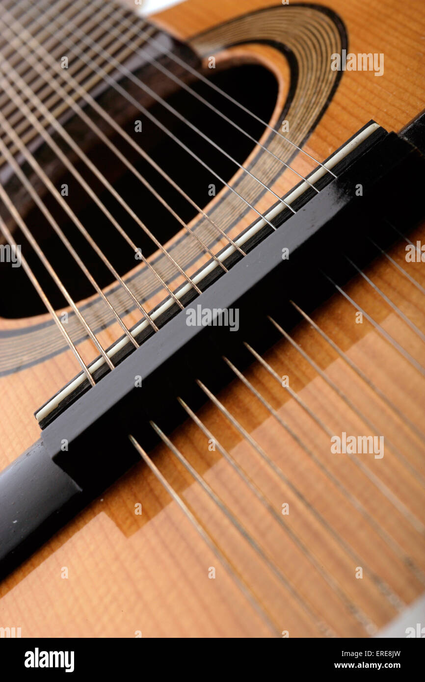 Maestro, 12 cordes mandoline espagnole faite par Vicente Tomas. Close-up de détail Banque D'Images