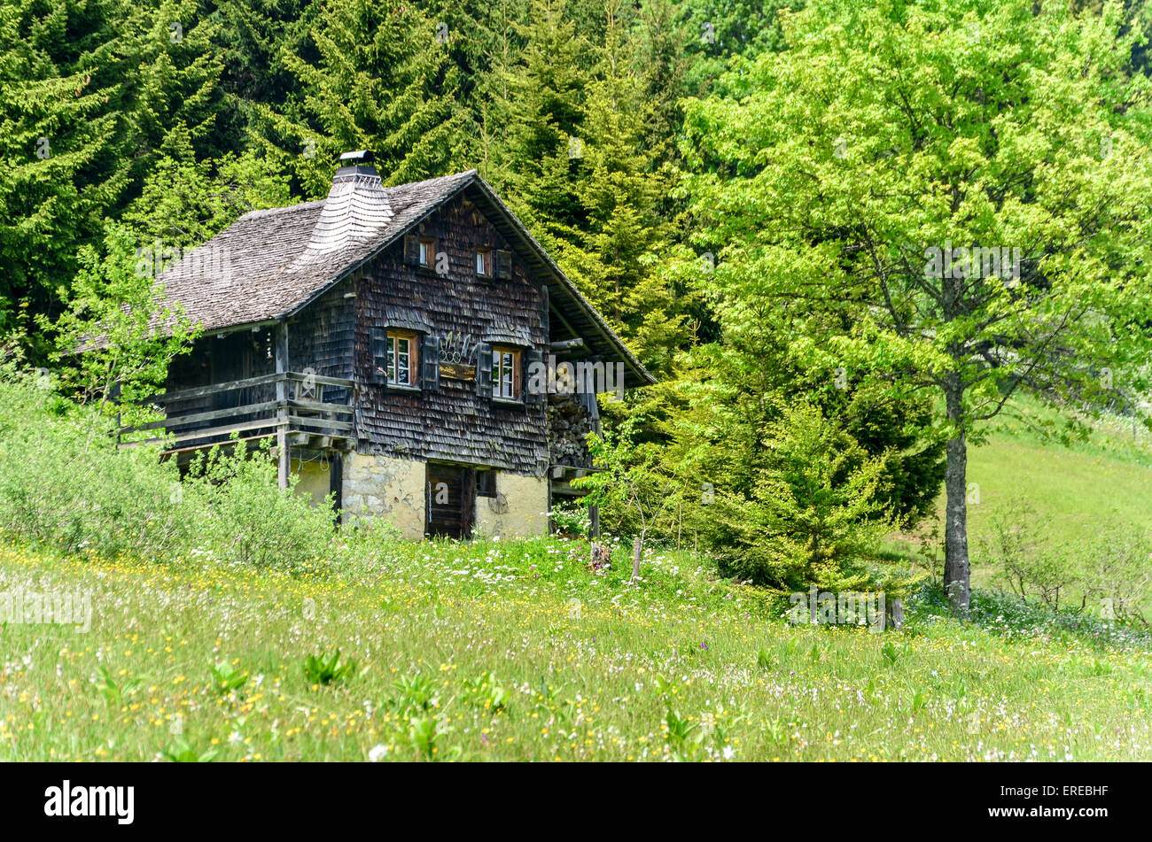 Maison chalet dans les montagnes de la Suisse Banque D'Images