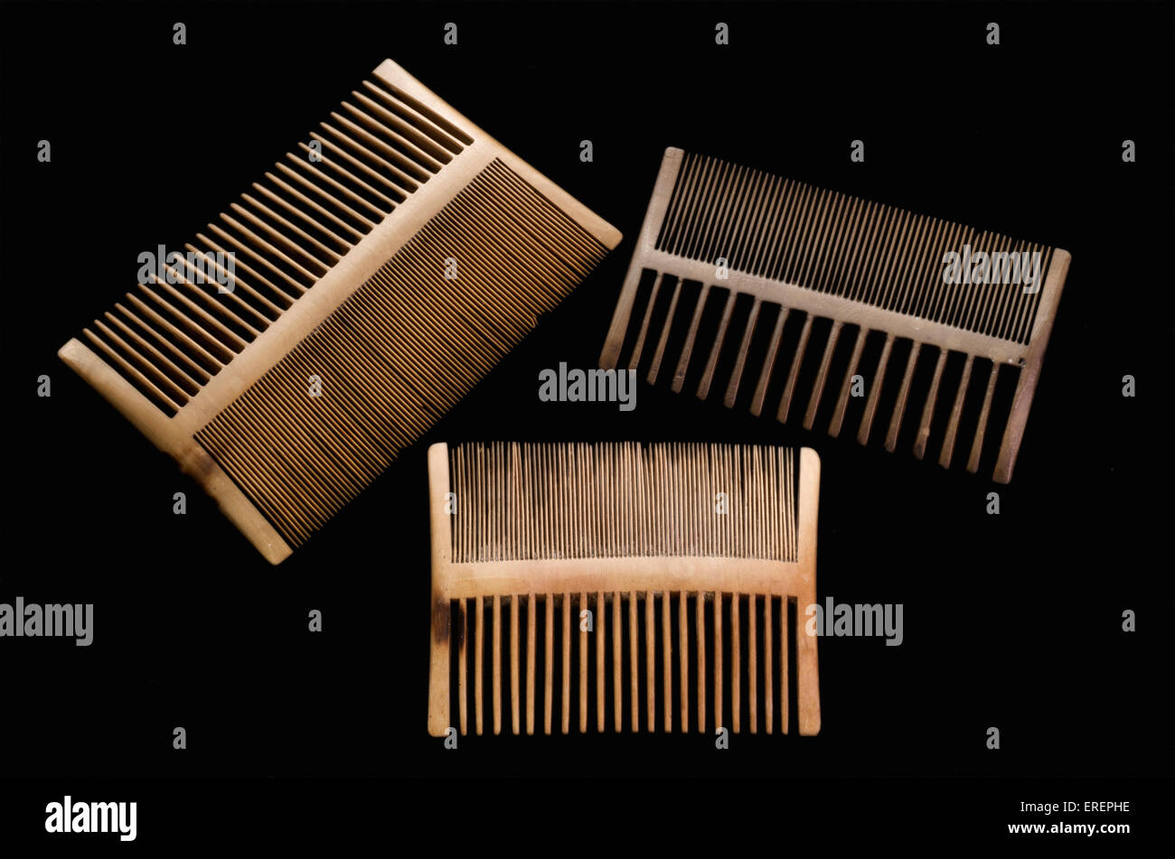 Les peignes, des os récupérés de la Mary Rose Banque D'Images