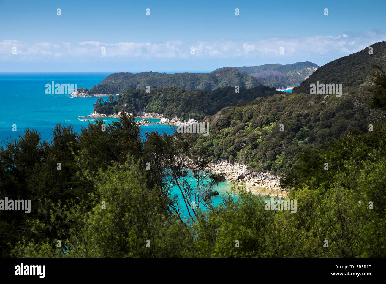 Afficher le long de la côte de l'Abel Tasman National Park, New Zealand Banque D'Images