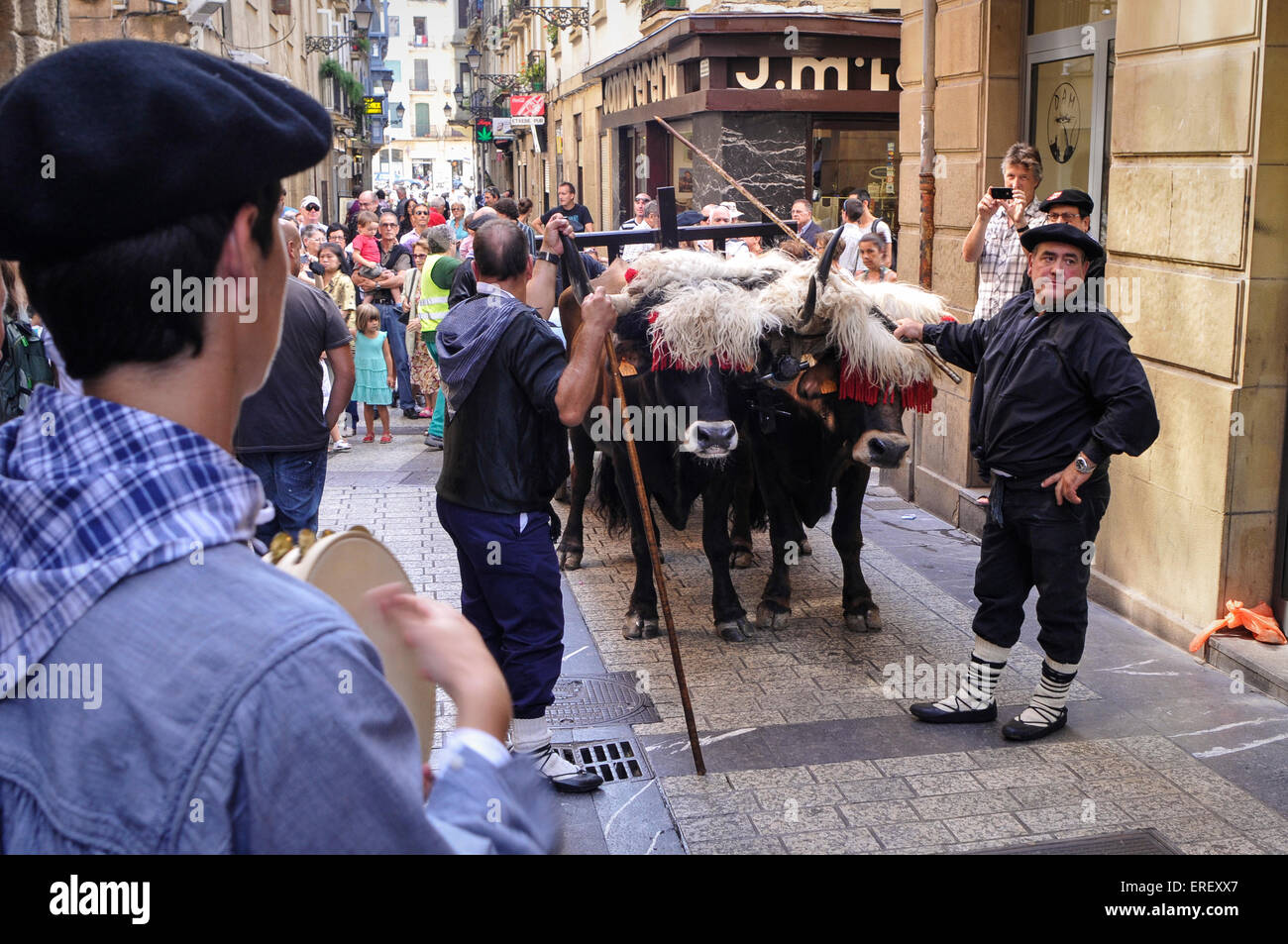 L'Idi probak Basque ( des Bœufs test) Aussi appelé demak idi (boeufs) les paris sont la forme la plus populaire de l'Euskara en faisant glisser des jeux. Banque D'Images