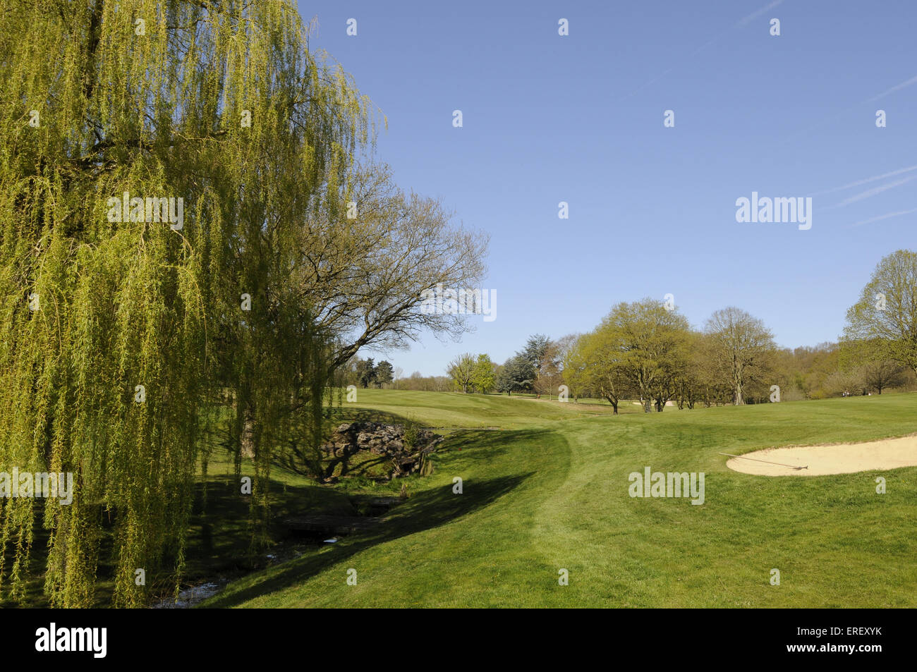Vue sur petit ruisseau et Willow Tree sur le 4e trou, Thorndon Park Golf Club Brentwood Essex en Angleterre Banque D'Images