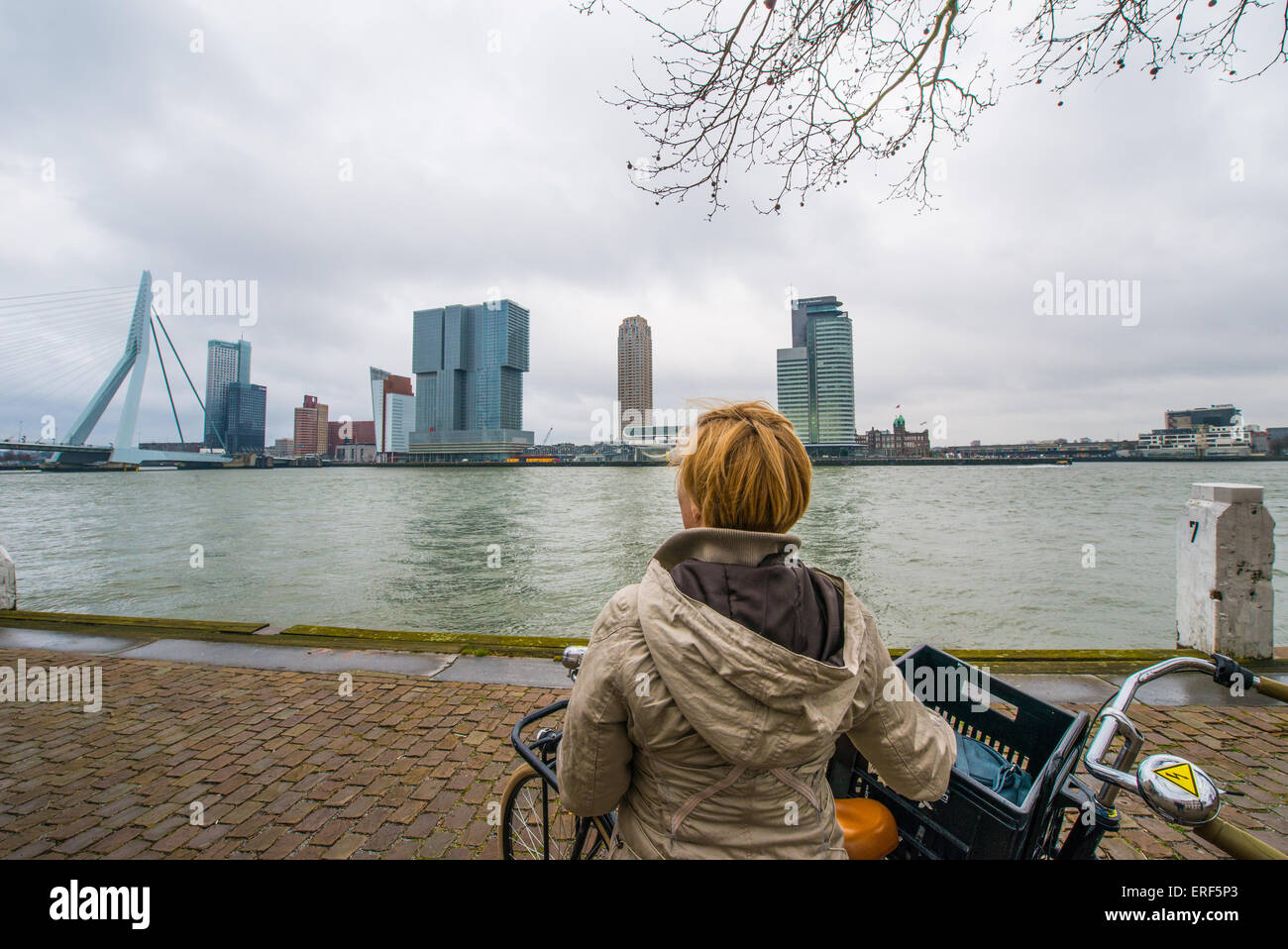 Rotterdam dans le sud-ouest de Holland dans le top top 5 des villes à voir de Lonely Planet célèbre pour son architecture moderne Banque D'Images