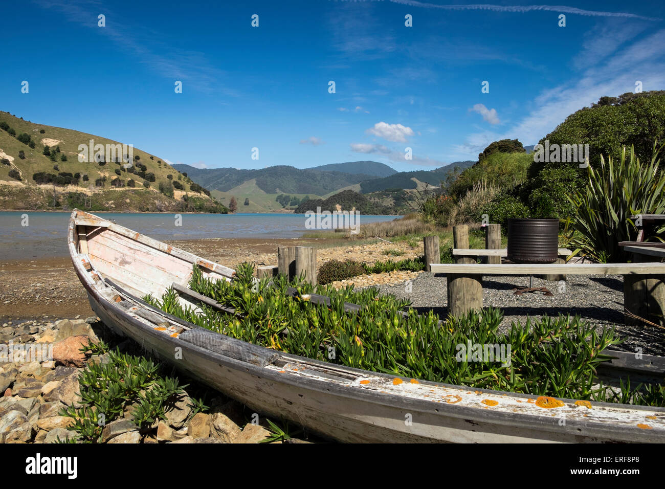 Vieux bateau en bois commence une nouvelle vie comme une plante en pot dans un jardin côtières sur le câble Bay, Nouvelle-Zélande. Banque D'Images