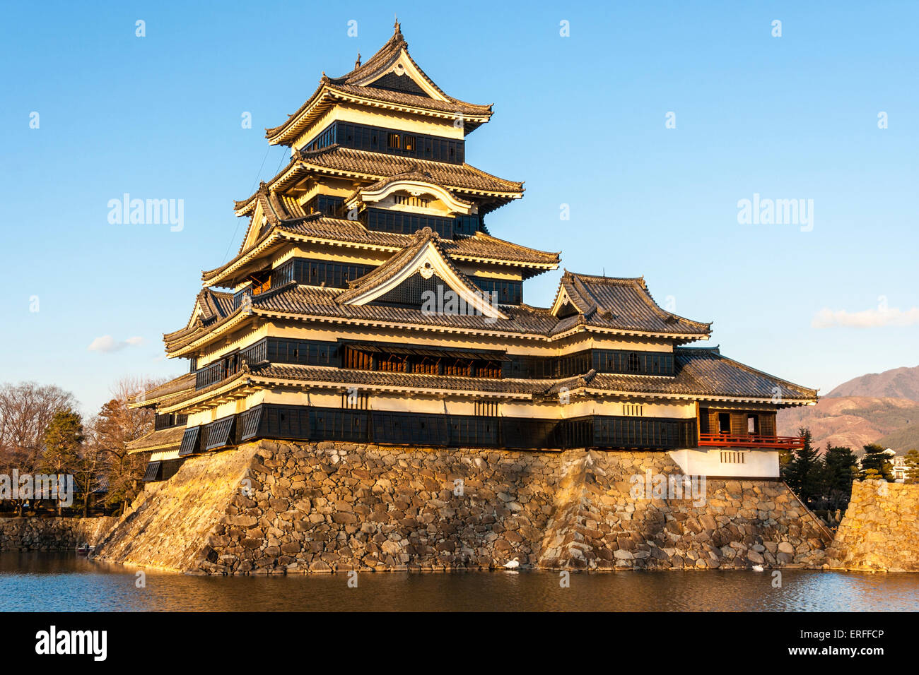 Une attraction touristique populaire, le donjon du château de Matsumoto au Japon dans l'heure d'or de l'après-midi juste avant le coucher du soleil avec un fond bleu ciel. Banque D'Images