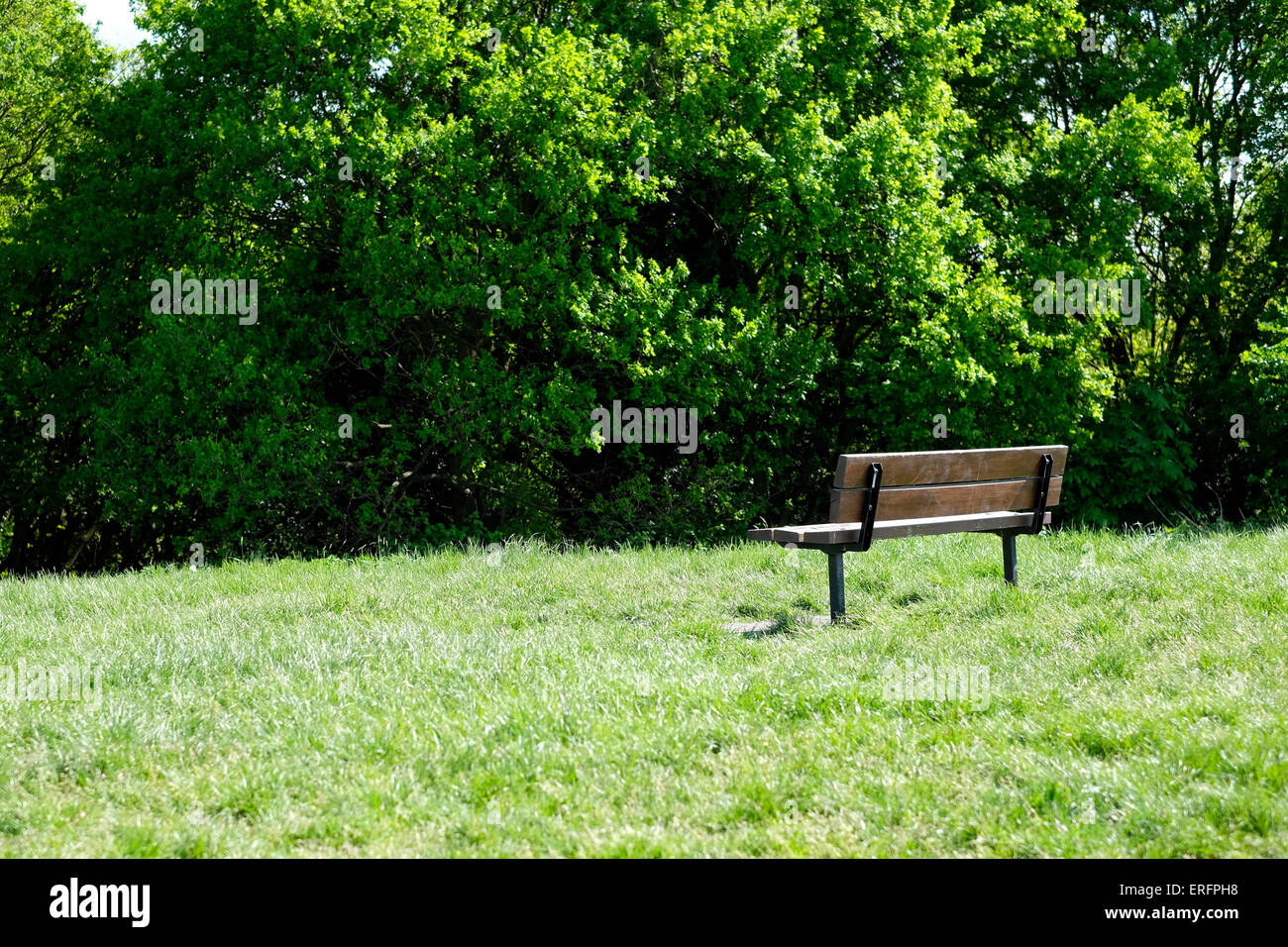 Un banc vide dans la colline du Parlement Banque D'Images