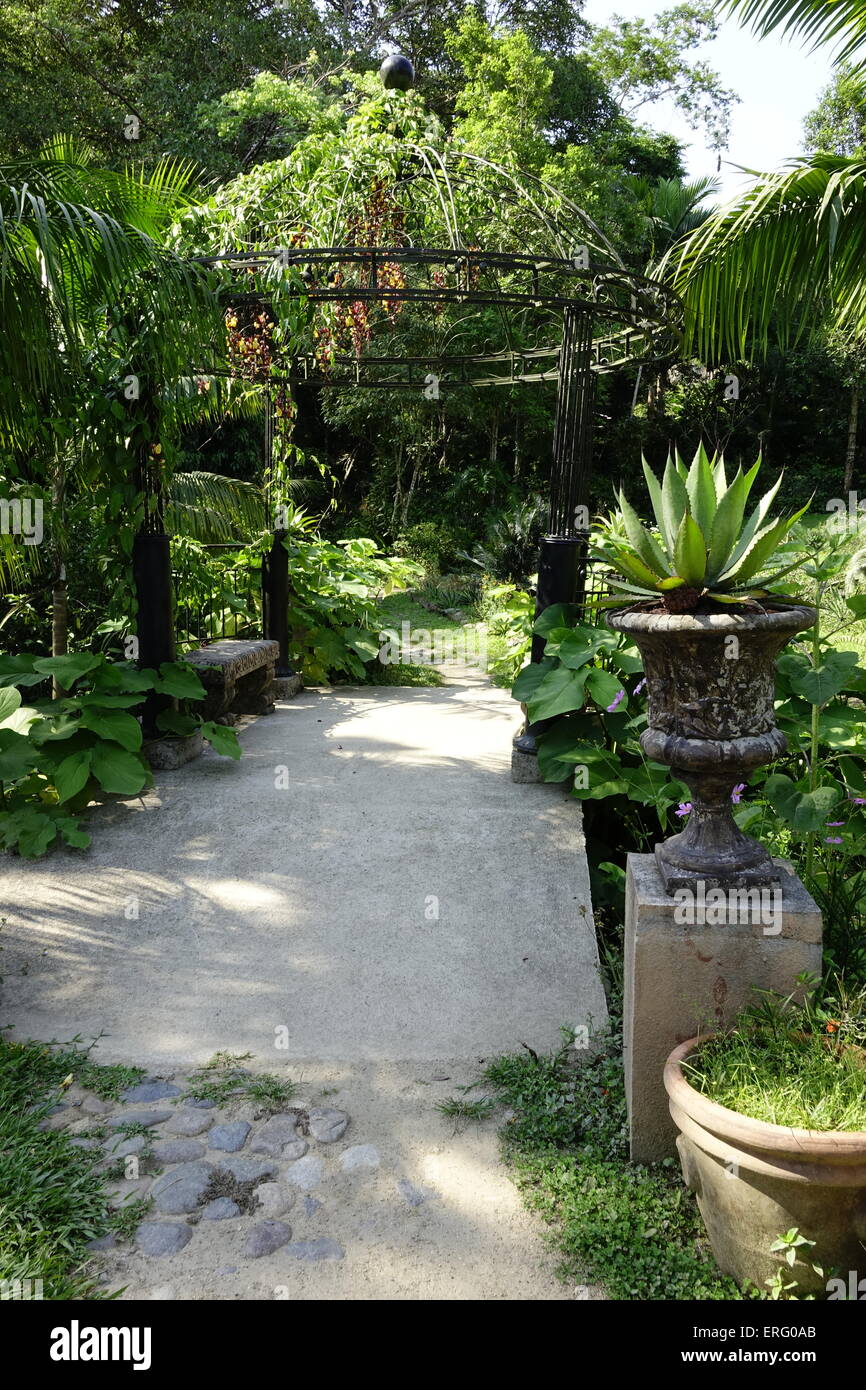 Dans le jardin, succulentes Vallarta botanical gardens, Puerto Vallarta, Mexique Banque D'Images