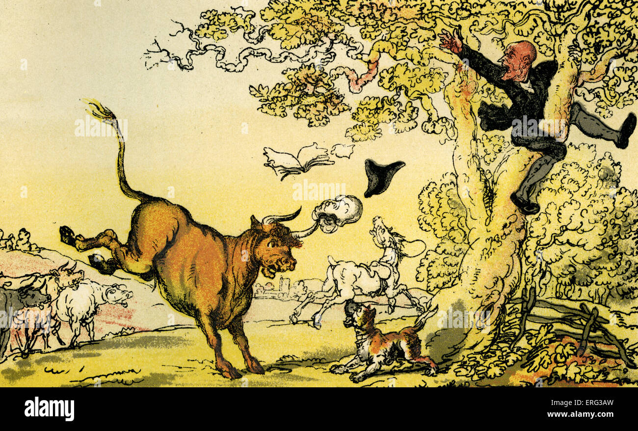 Syntaxe 'Dr poursuivi par un taureau', illustration par Thomas ROWLANDSON de « docteur Syntaxe's Tour à la recherche de la pittoresque' par Banque D'Images
