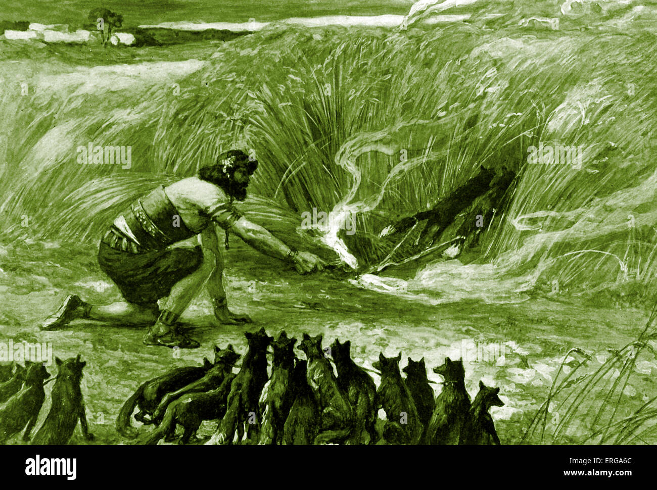 Samson et les renards par J James Tissot. Illustration de Livre des Juges, 15.4 : 'Et Samson alla et prit trois cents renards, et prit des flammes, et a tourné la queue à queue, et mit un flambeau au milieu entre deux queues'. JT : peintre français, 15 octobre 1836 - 8 août 1902 Banque D'Images