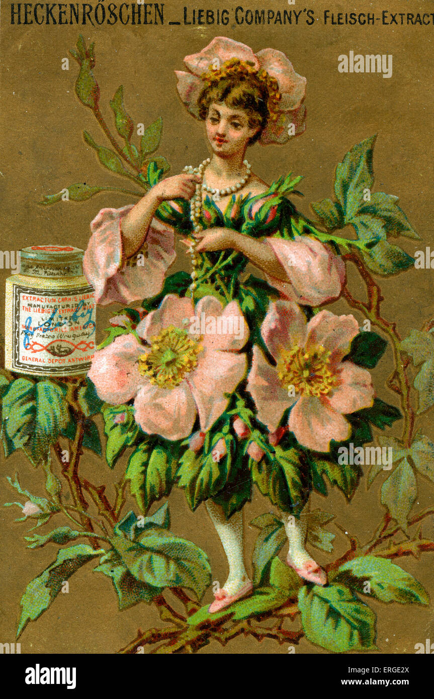 Fleurons de Heck- heckenroschen (Allemand).jeune femme vêtue d'un costume de diable fleurons. Elle se tient sur une branche épineuse. Banque D'Images
