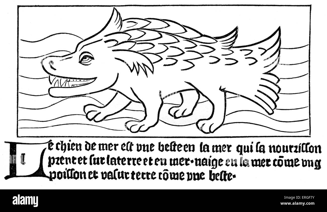 'La Mer- Dog' - à partir de la reproduction d'une woodengraving dans yalogue "des créatures' par Gérat Leeu, 1482, Gouda. Banque D'Images