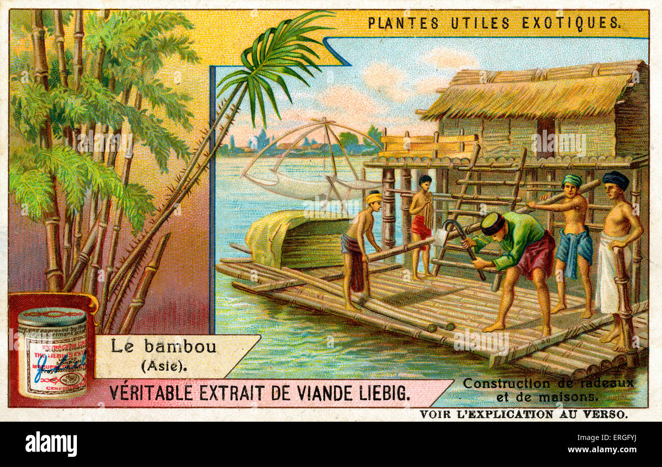 Plantes exotiques utile : Bambou (Asie), 1909. (Anglais : Plantes Utiles exotiques : le bambou). La construction de radeaux et de maisons Banque D'Images