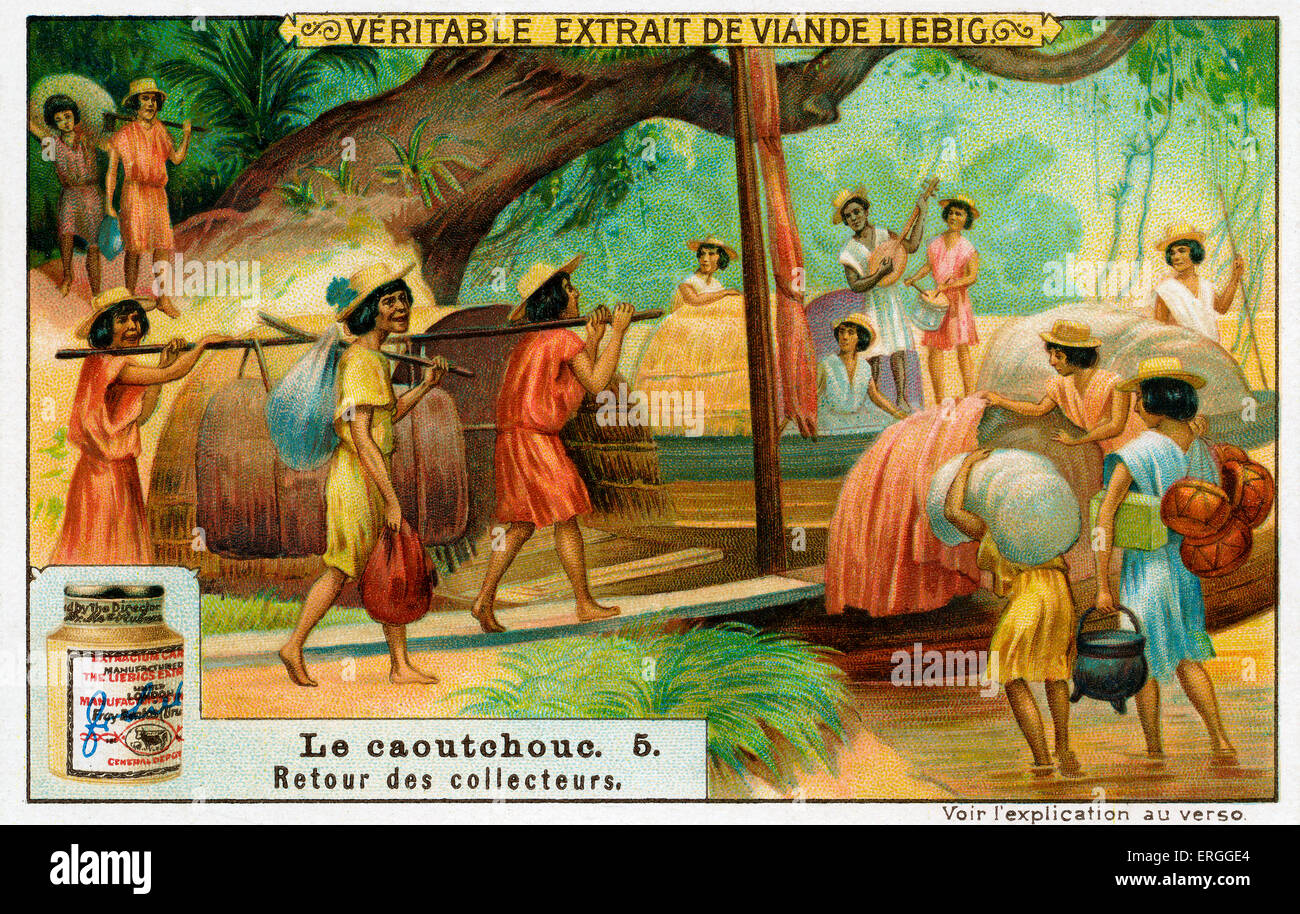 L'histoire du caoutchouc : le retour des collectionneurs (Liebig Cartes à collectionner. Série : 'Caoutchouc' ('India Rubber'). N° 5 Banque D'Images