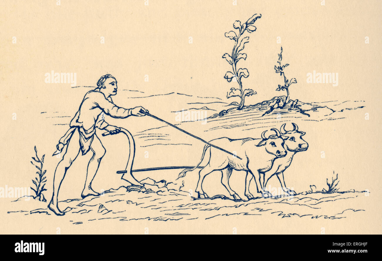 L'agriculture du 11ème siècle en Angleterre : Plouging. Illustrations de diverses techniques (y compris scything). 19e siècle Banque D'Images