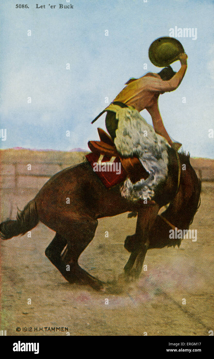 American Rodeo rider, après une photo de H.H. Tammen, 1912. Sous-titre suivant : "Let 'er Buck'. Bucking Bronco. Banque D'Images