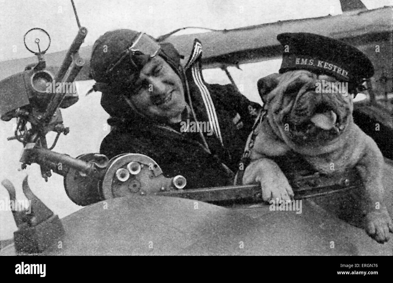 WW2 - Un projet pilote de son avion avec un British Bulldog. Banque D'Images