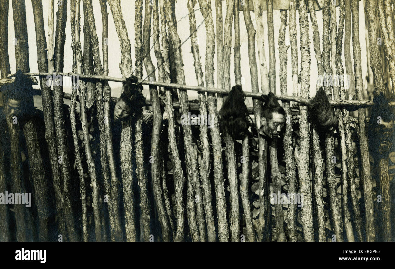 Révolution en 1911, Hankou / Hankow. Les têtes décapitées de révolutionnaires chinois pendre par les cheveux d'un pôle. Banque D'Images