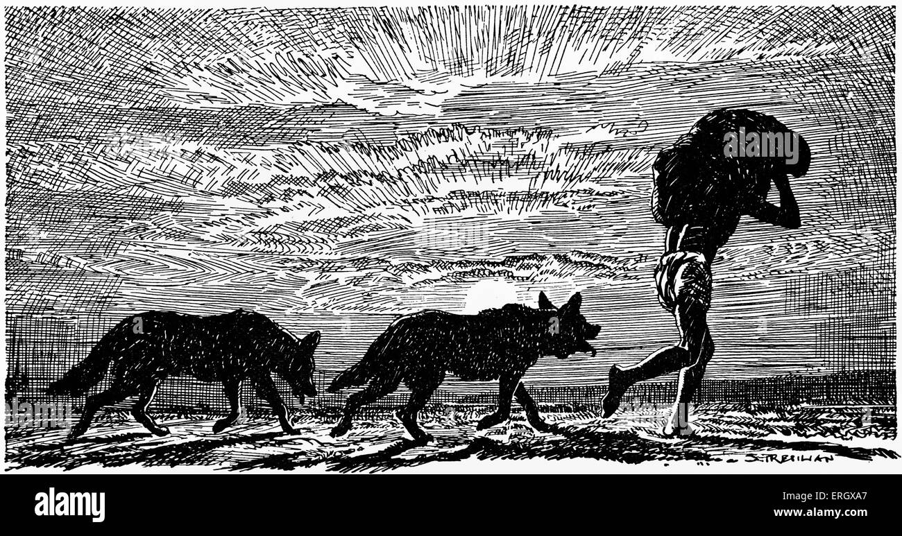 Mowgli, avec deux loups sur ses talons et un paquet sur la tête'. À partir de "toutes les histoires de Mowgli de Rudyard Kipling. RK : Anglais auteur et poète, 30 Décembre 1865-18 janvier 1936. Banque D'Images