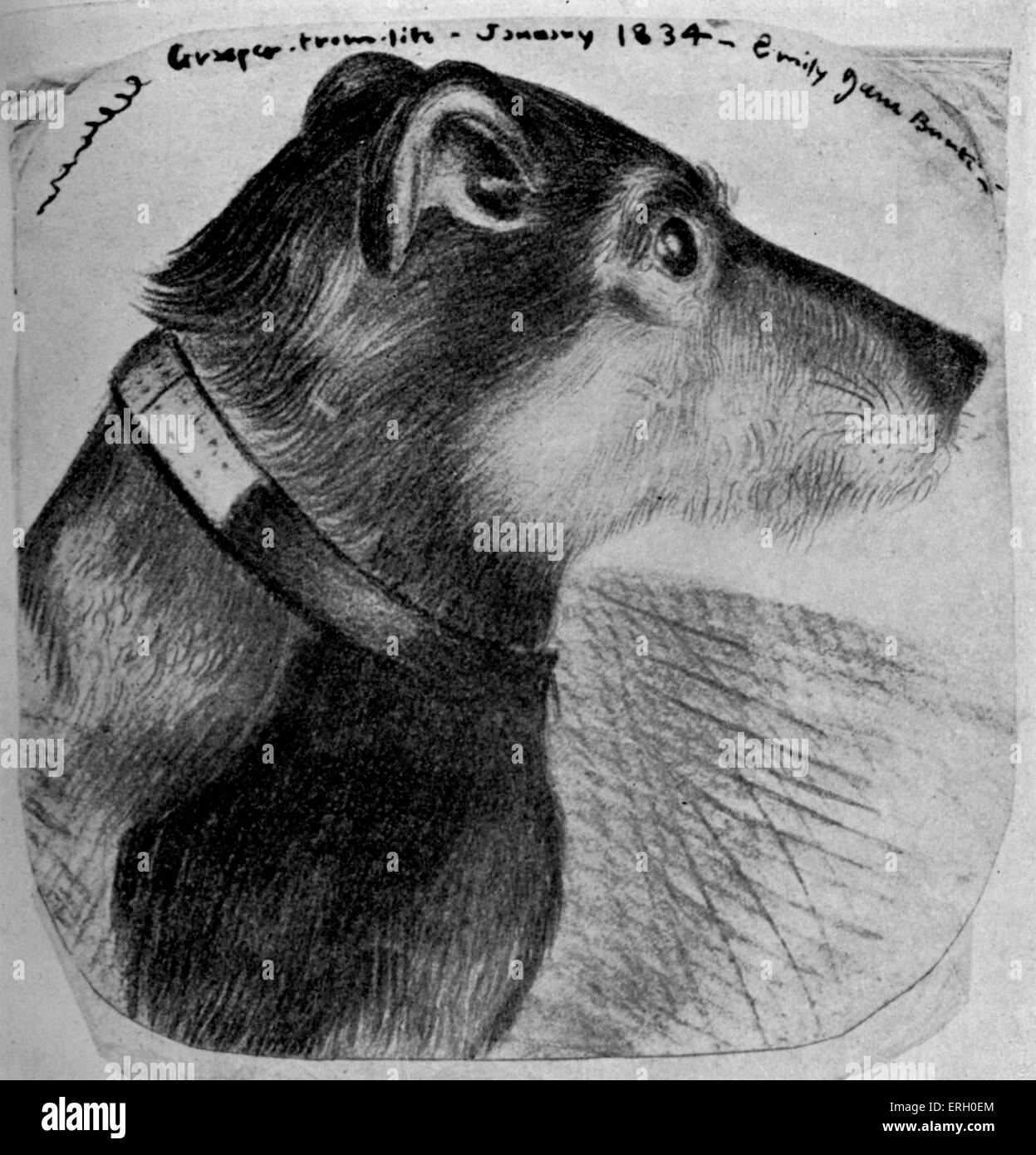 Charlotte Brontë's pince chien. Dessin de la vie par Emily Brontë, janvier 1834. CB : romancier britannique, 21 avril 1816 - 31 mars Banque D'Images