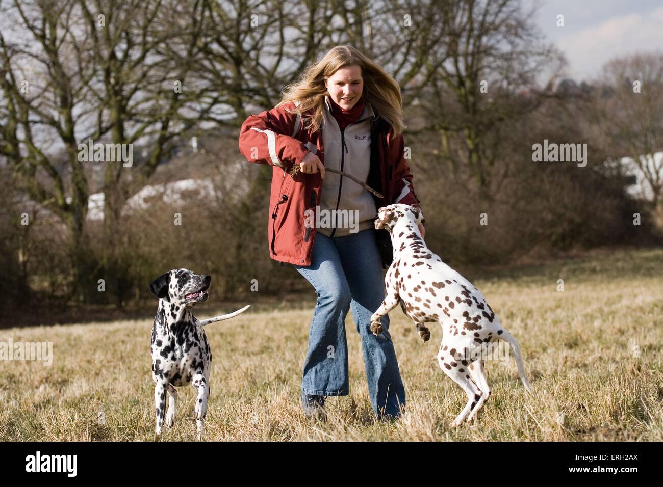 Jouer avec le chien Banque D'Images