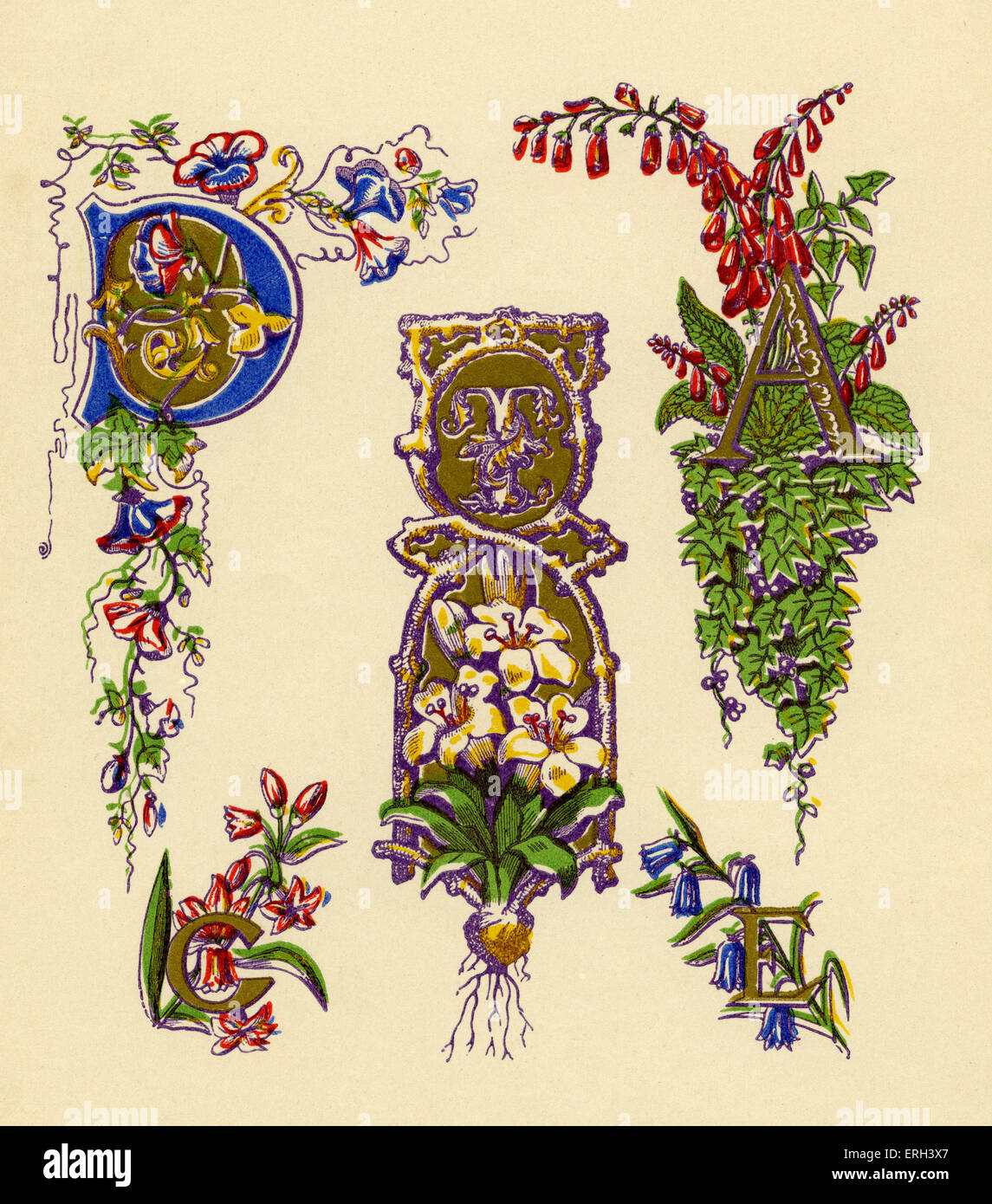 Allumé en lettres D, T, A, C et E. seizième siècle. (Source 1886). Banque D'Images