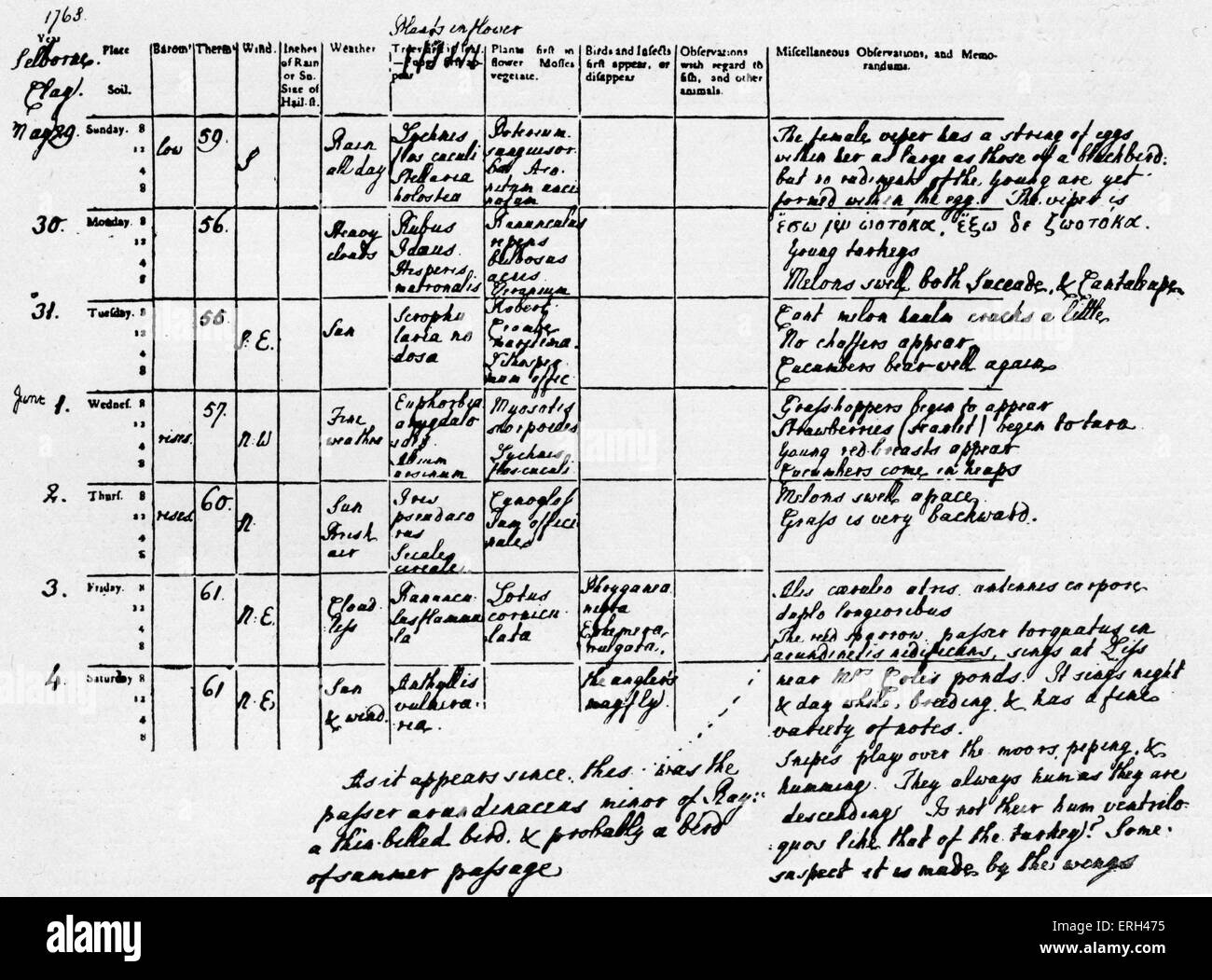 Gilbert White 's 'Naturalist's Journal" ; une page avec un tableau comparant les conditions météorologiques et les plantes en fleurs au fil du temps. Pionnier, GW Banque D'Images