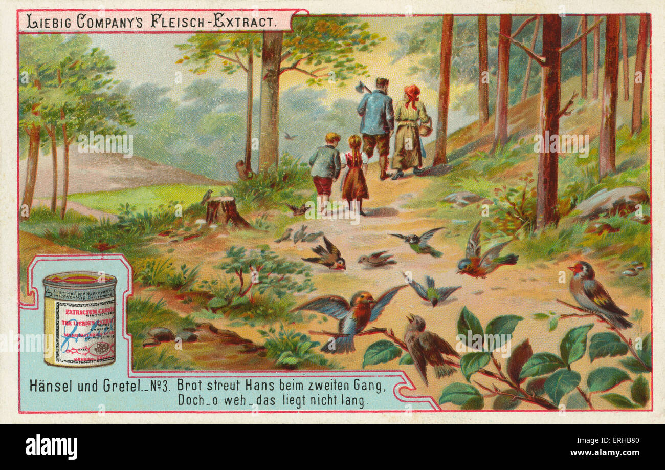 Hansel et Gretel des frères Grimm (1821). Sous-titre suivant : "La deuxième fois, Hansel établit une traînée de chapelure à suivre Banque D'Images