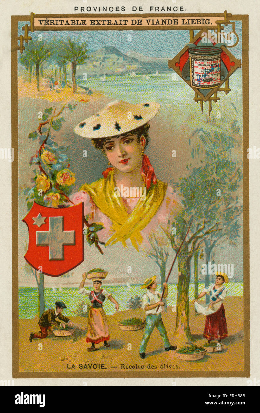 Savoy/ Savoie, France. Une femme en costume régional. Également sur la photo : la récolte d'olive. Carte Liebig, Provinces Françaises, 1896. Banque D'Images
