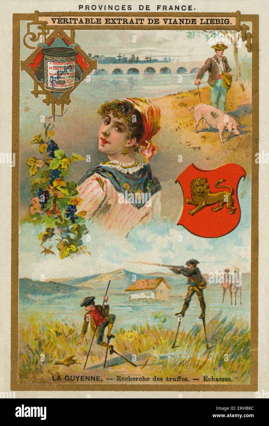La Gascogne Guyenne Guyenne France//. Une femme en costume régional. Également sur la photo : la collecte de truffe. Carte Liebig, Provinces Françaises, Banque D'Images