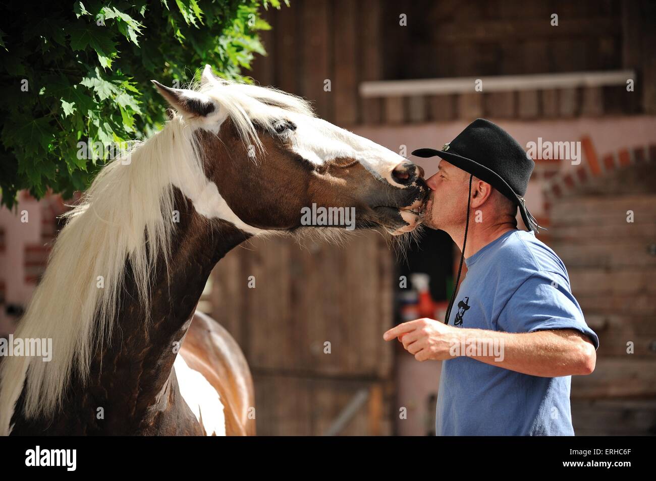homme et le cheval Banque D'Images