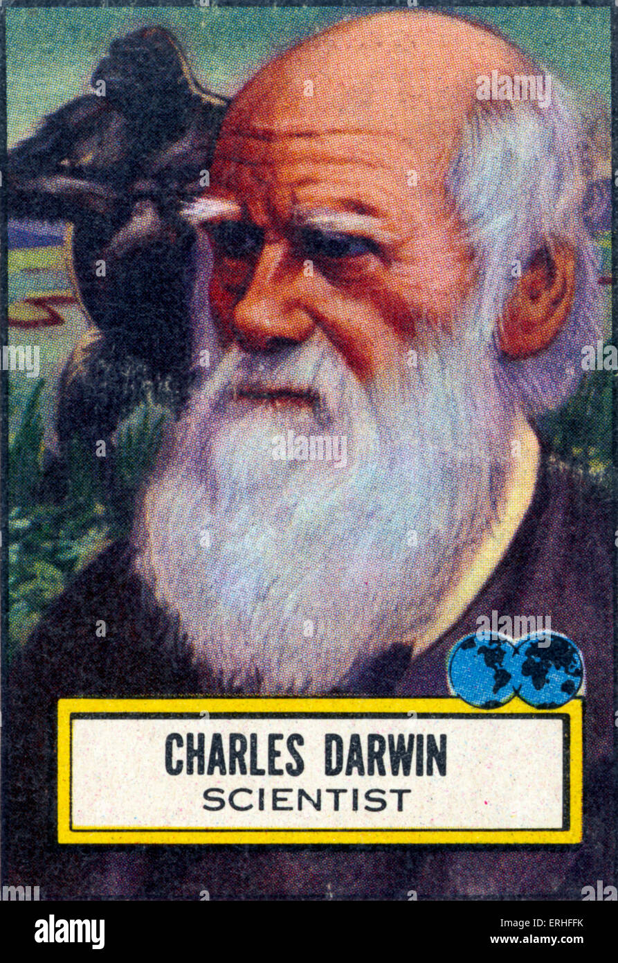 Charles Robert Darwin - portrait de la British naturaliste. 12 février 1809 - 19 avril 1882. L'auteur (avec Alfred Banque D'Images