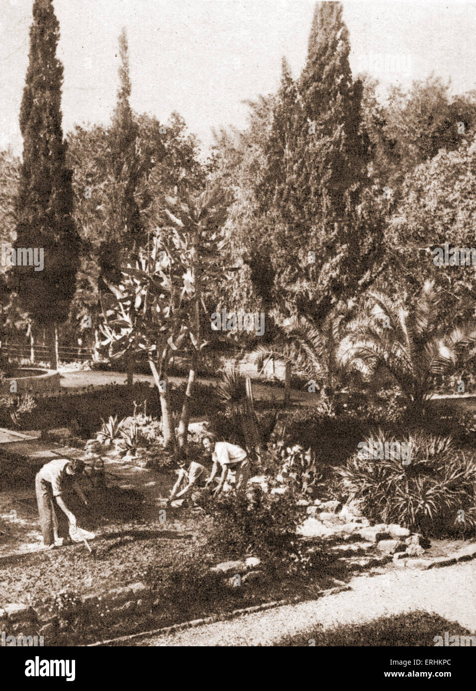 Palestine / Israël - Les premiers colons / pionniers cultivaient leurs jardins. Banque D'Images