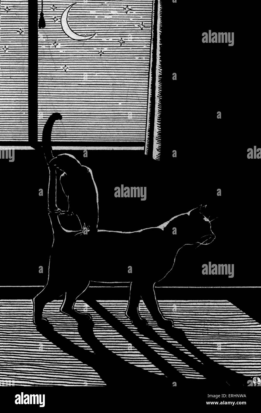 "Le perroquet et le chat' - par Algernon Blackwood. Sous-titre suivant : "Les deux ont été se déplaçant très lentement- et Dudley était perché sur Banque D'Images