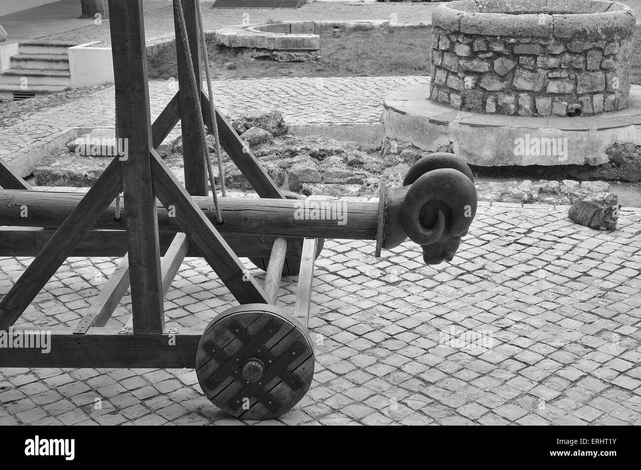 Chat dans le musée archéologique de Loulé, Algarve, Portugal Banque D'Images