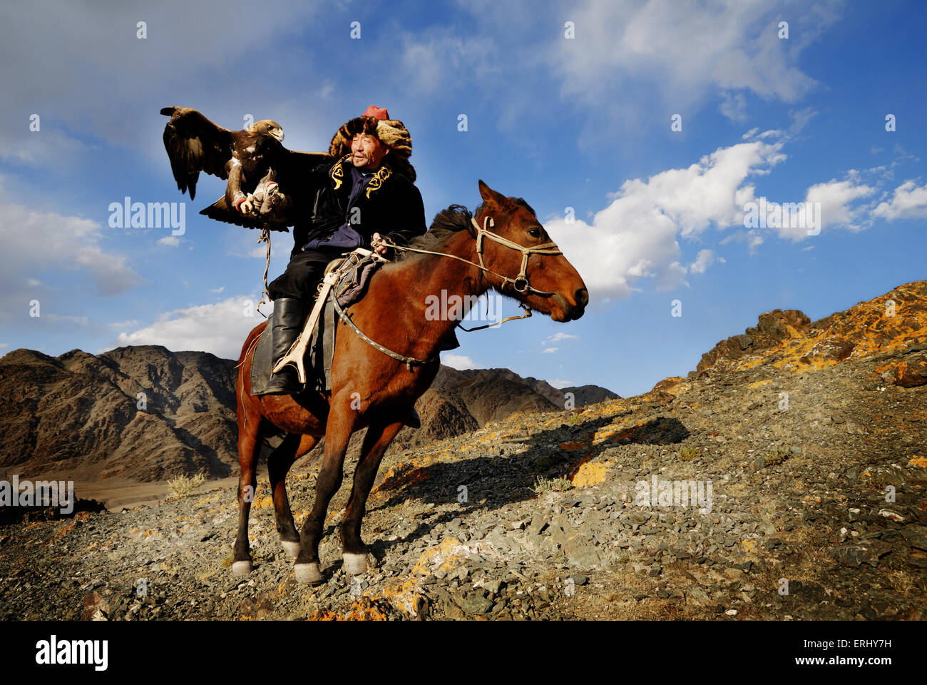 Traditionnellement les hommes kazakh chasser les renards et les loups l'aigle royal. Olgei,l'ouest de la Mongolie. Banque D'Images