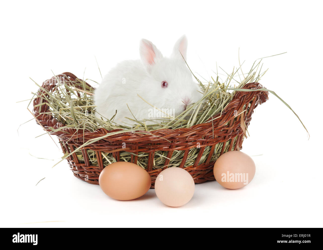 Lapin blanc et les oeufs dans un panier Banque D'Images