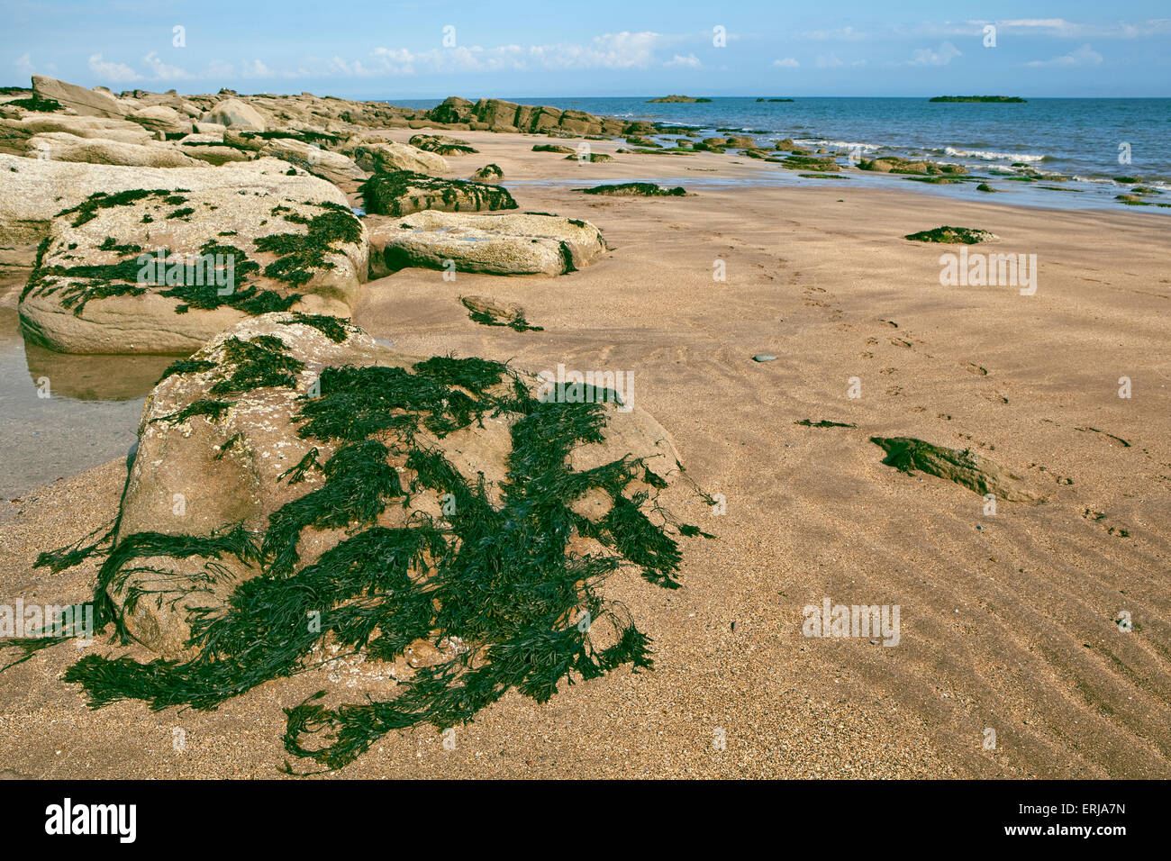 Vue de l'après-midi sur la plage à Castle Point près de Rockcliffe, Dumfries et Galloway, Écosse Banque D'Images