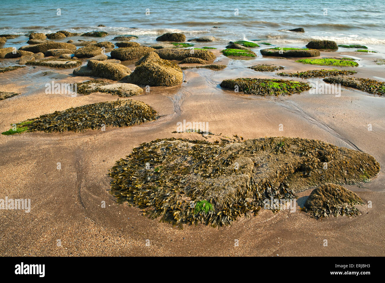 Vue de l'après-midi pris sur la plage à Castle Point près de Rockcliffe, Dumfries et Galloway, Écosse Banque D'Images