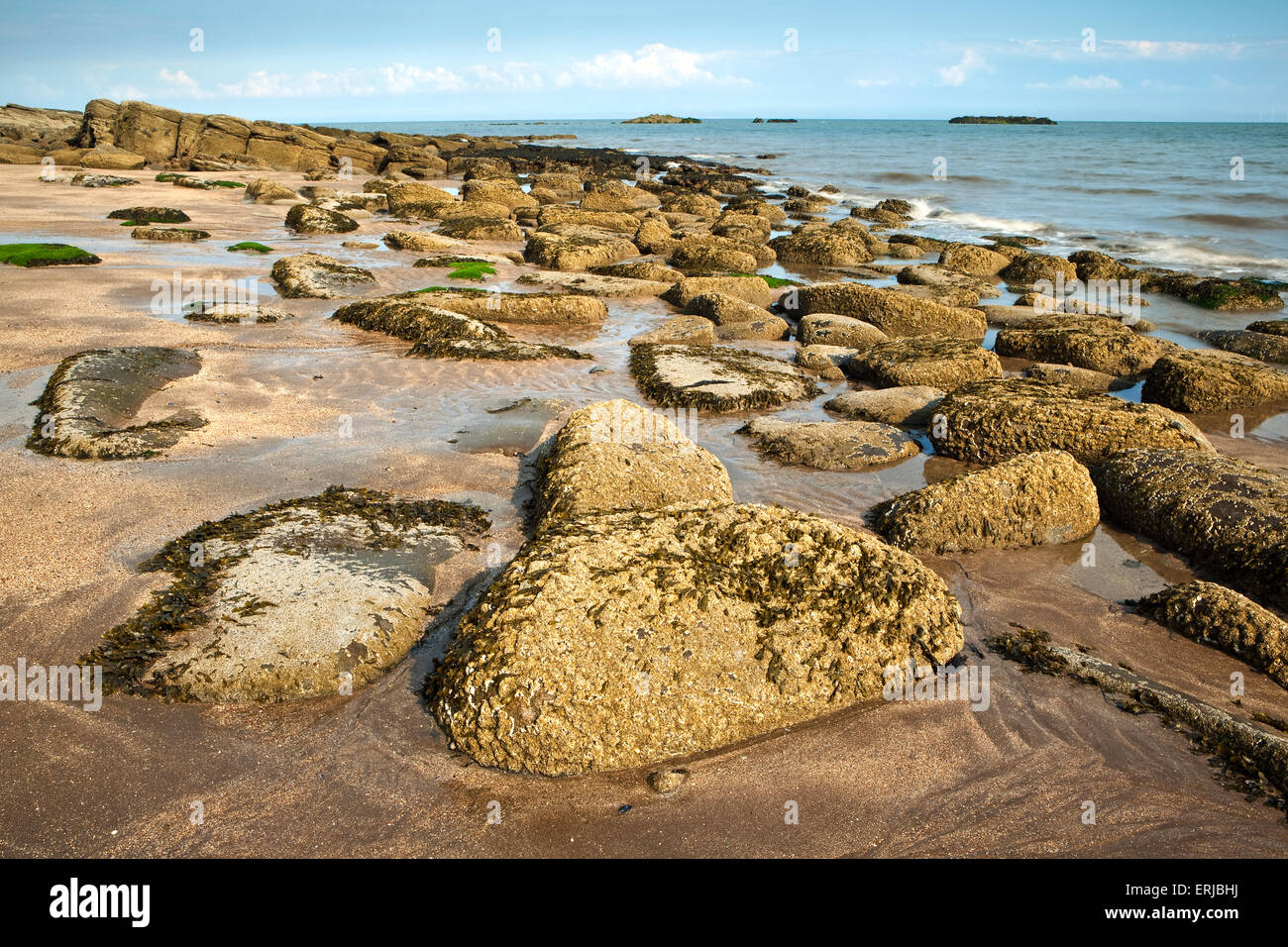 Vue de l'après-midi sur la plage à Castle Point près de Rockcliffe, Dumfries et Galloway, Écosse Banque D'Images