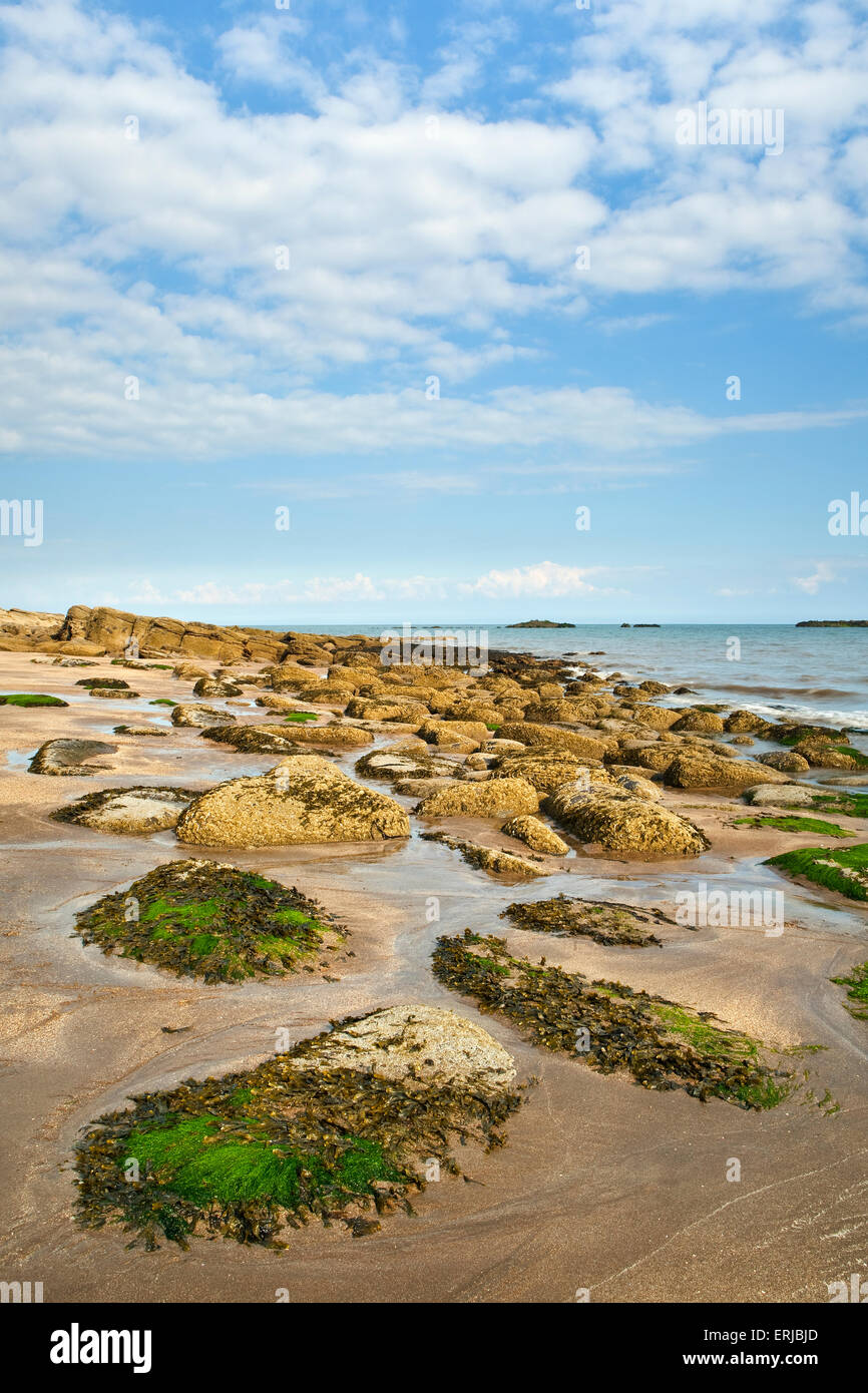 Vue de l'après-midi sur la plage à Castle Point près de Rockcliffe, Dumfries et Galloway, Écosse Banque D'Images