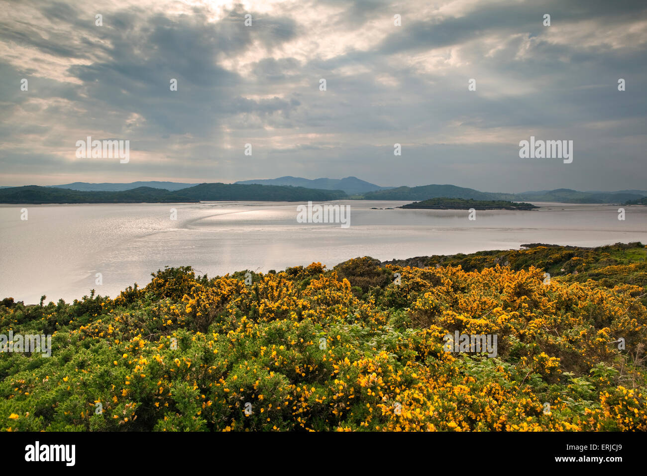Soir vue sur le château de Firth rugueux Point près de Rockcliffe, Dumfries et Galloway, Écosse Banque D'Images
