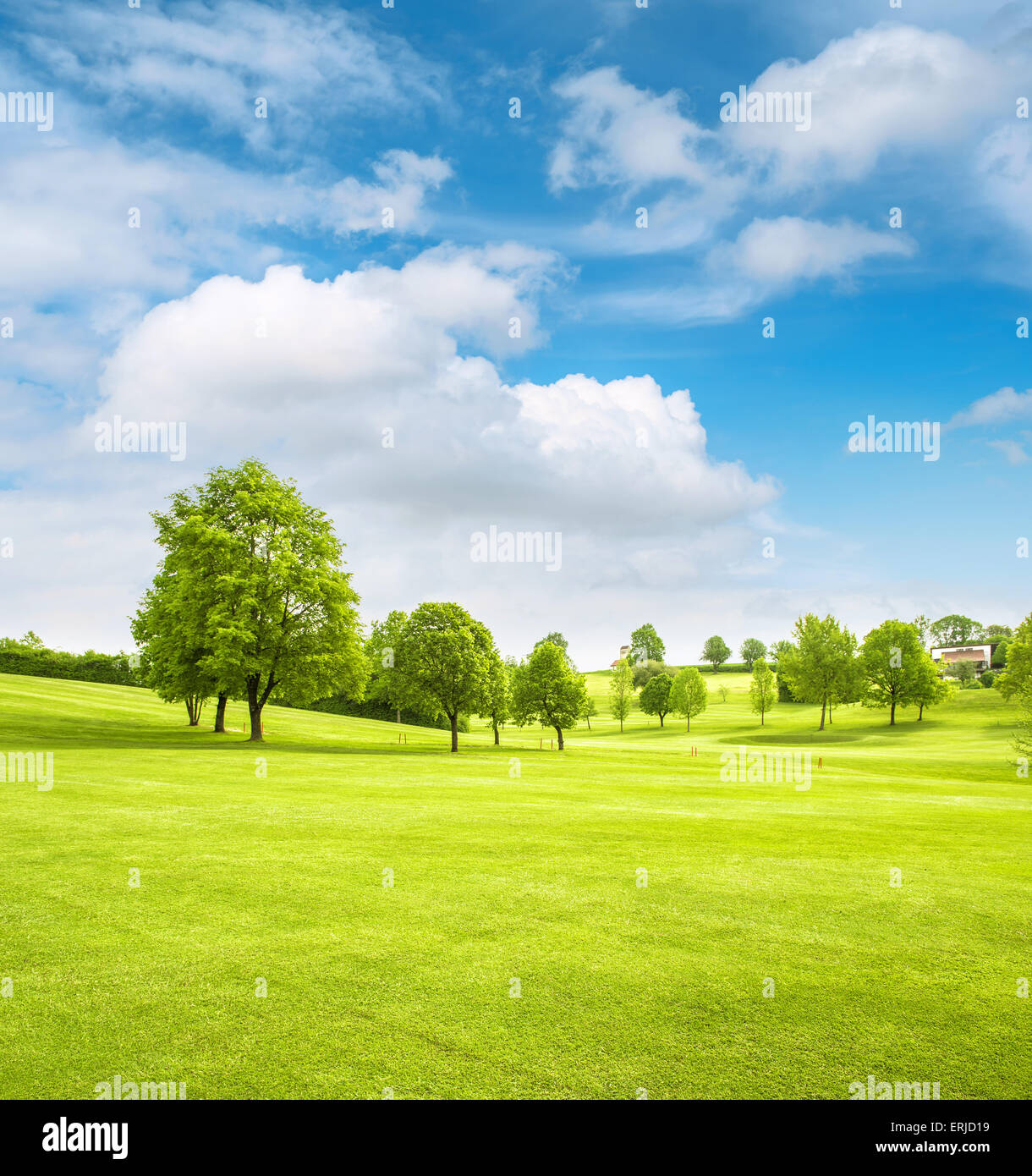 Champ de printemps paysage avec de l'herbe bien verte, arbres et ciel nuageux ciel bleu. Golf course Banque D'Images